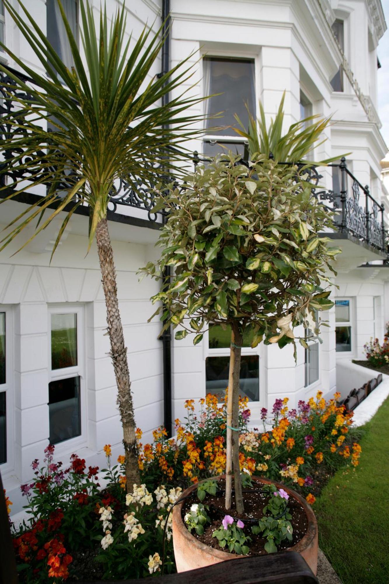 Devonshire Park Hotel Eastbourne Eksteriør billede